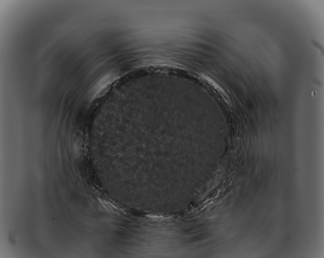 X0000091940775200709191419