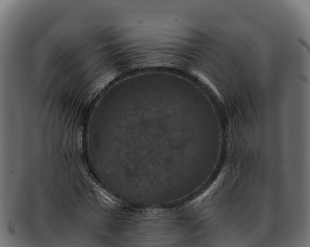 X0000091940777200709191419