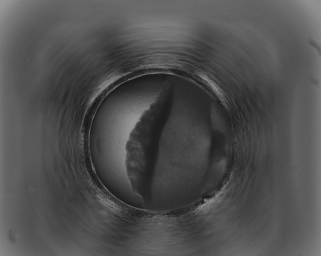 X0000091940779200709191419