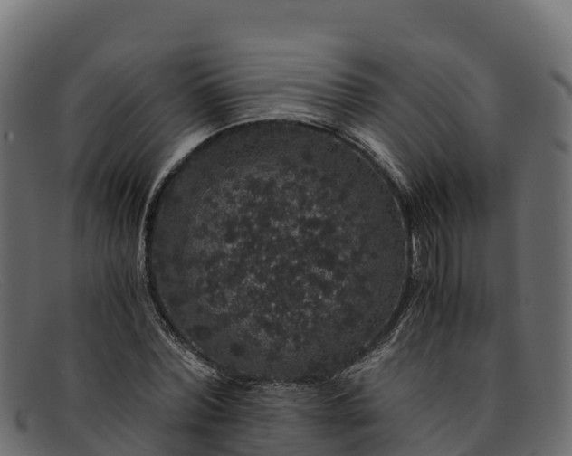 X0000091940780200709191419