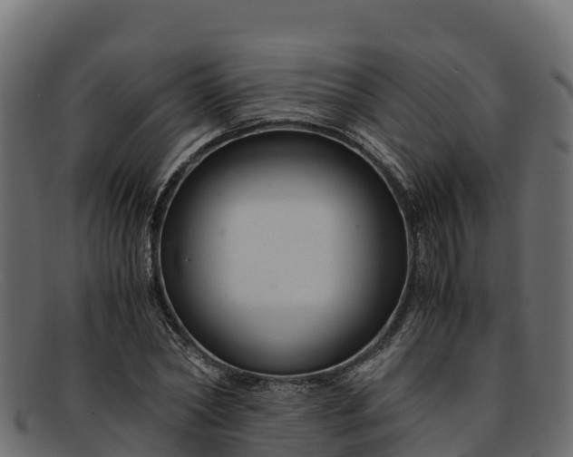 X0000091940782200709191419