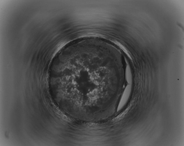 X0000091940783200709191419