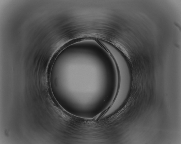 X0000091940784200709191419