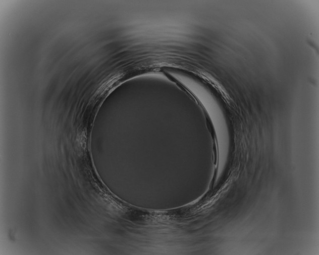 X0000091940785200709191419