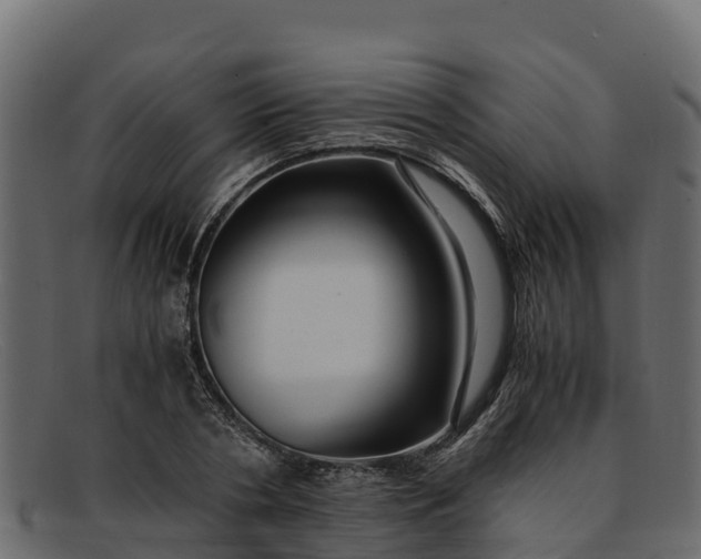 X0000091940786200709191419