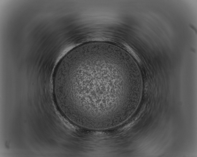 X0000091940787200709191419