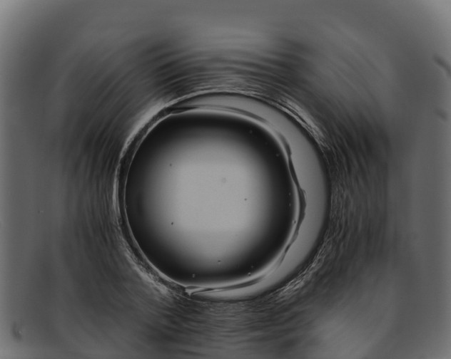 X0000091940788200709191419