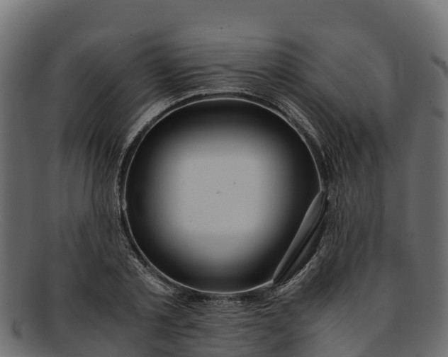 X0000091940789200709191419