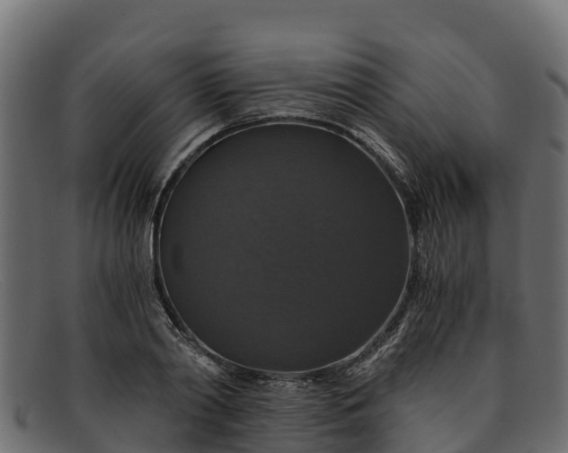 X0000091940790200709191419