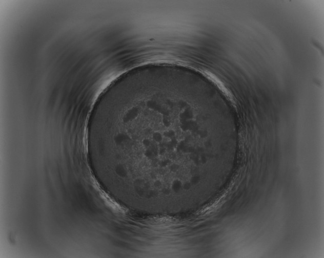 X0000091940791200709191419