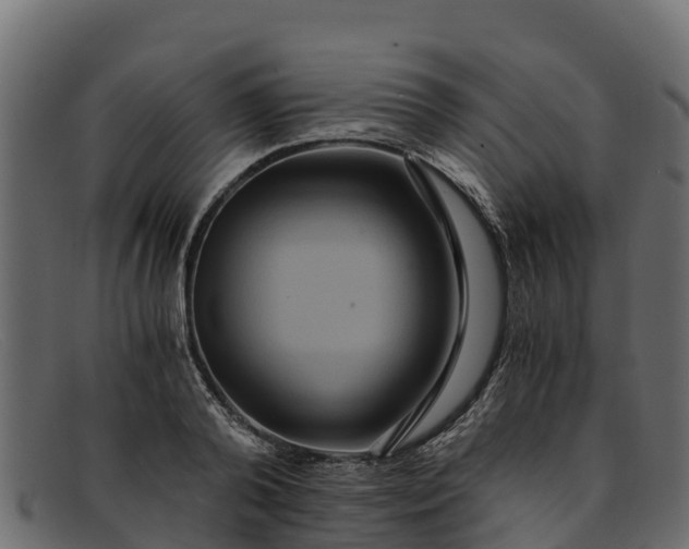 X0000091940792200709191419