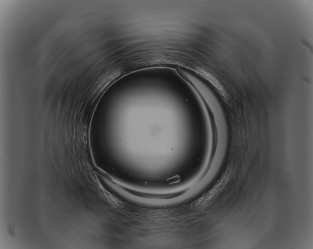 X0000091940793200709191419