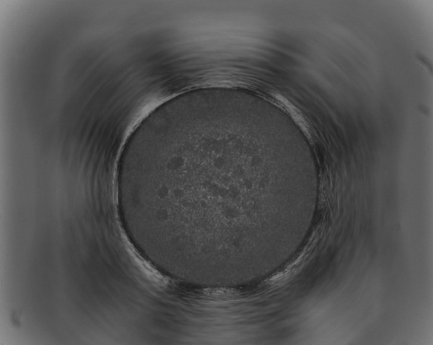 X0000091940795200709191419