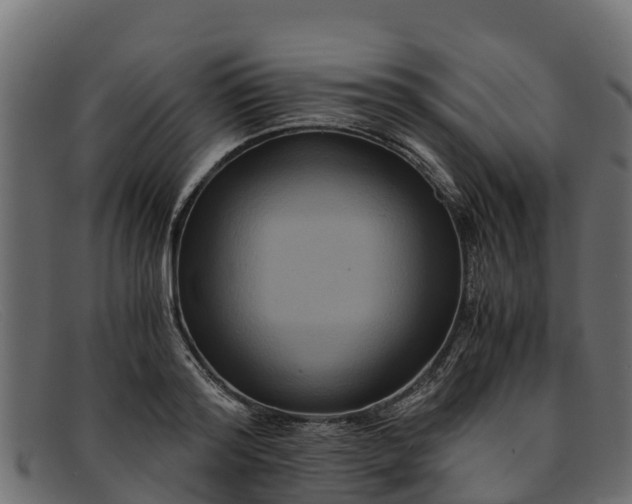 X0000091940796200709191419