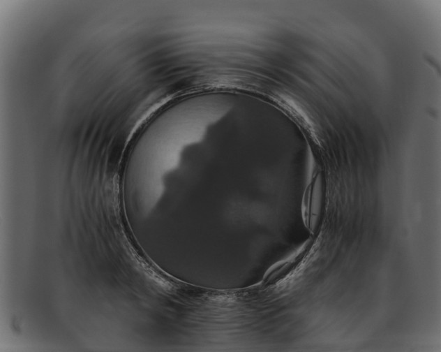 X0000091940798200709191419