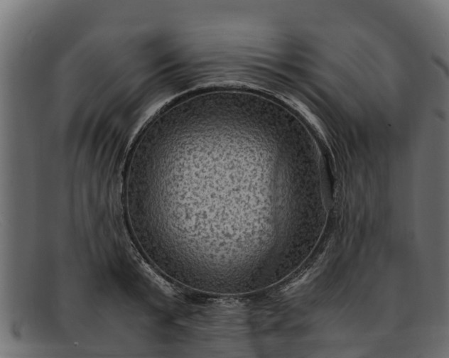 X0000091940799200709191419