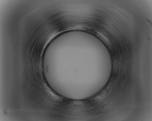 X0000091940800200709191419