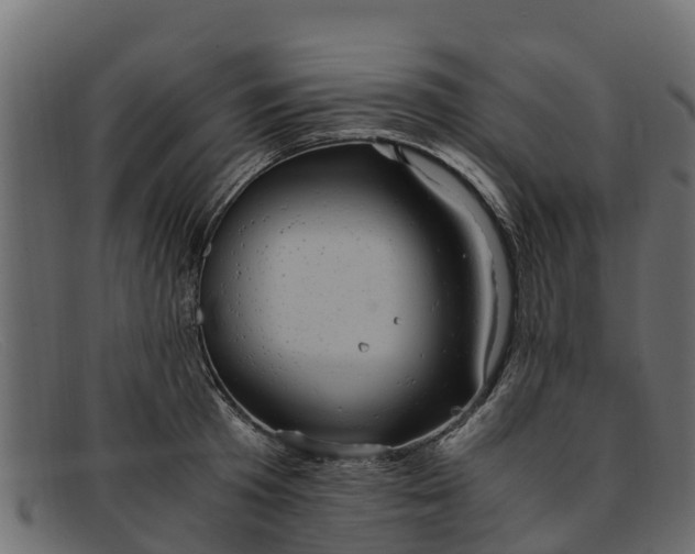 X0000091940801200709191419