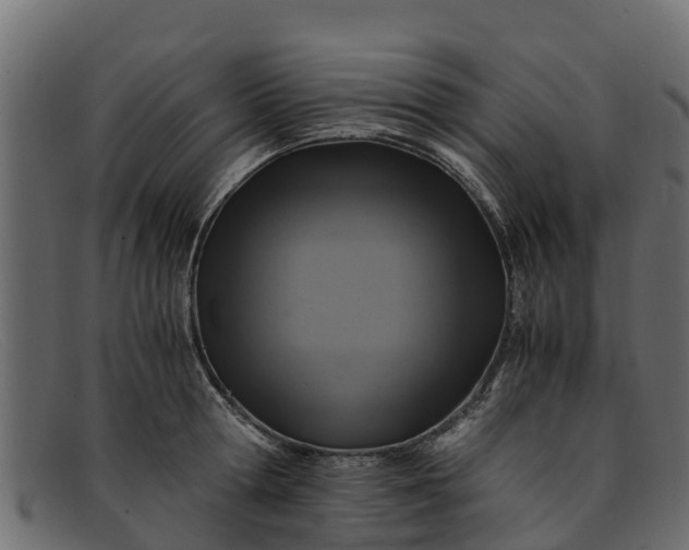 X0000091940802200709191419