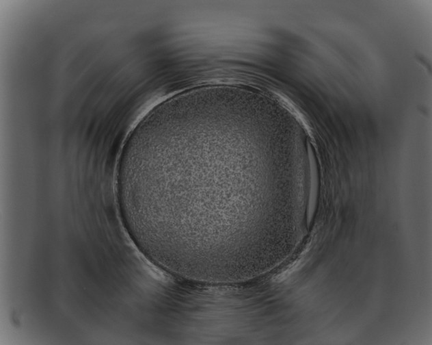 X0000091940803200709191419