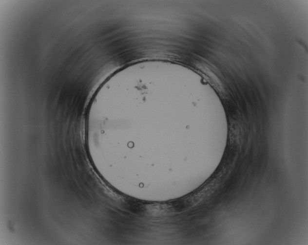 X0000091940804200709191419