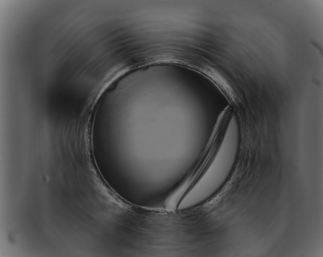 X0000091940806200709191419