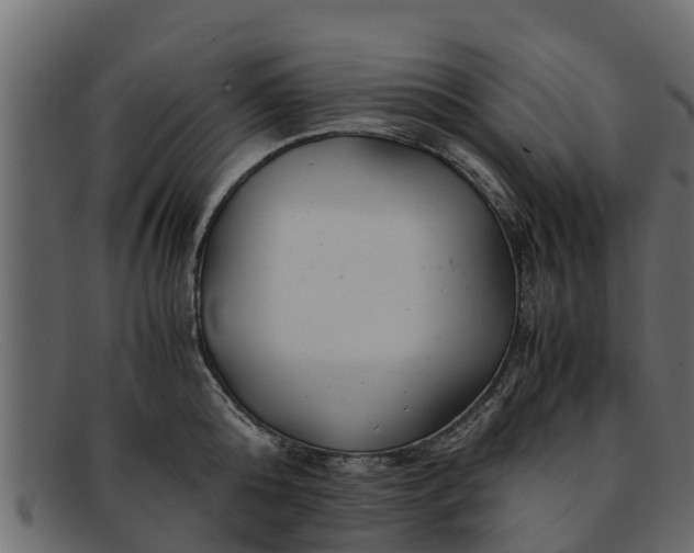 X0000091940808200709191419