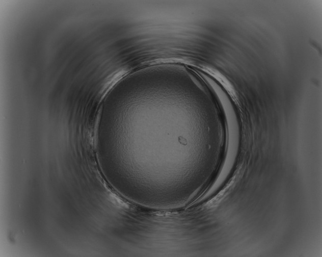 X0000091940809200709191419