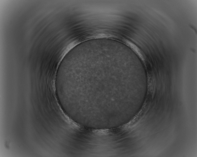 X0000091940810200709191419