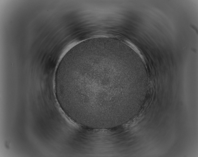 X0000091940811200709191419