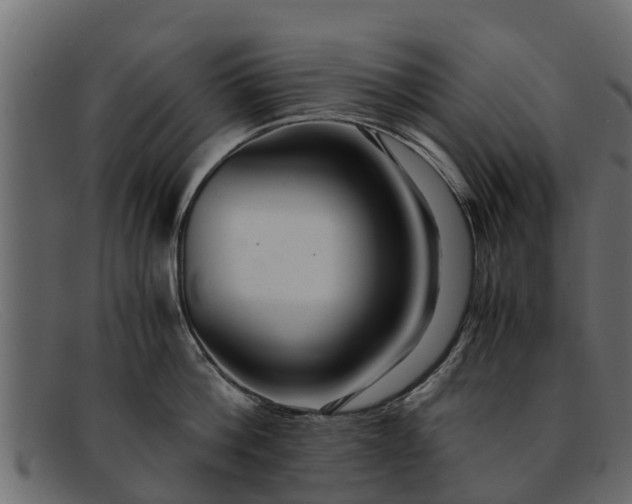 X0000091940812200709191419