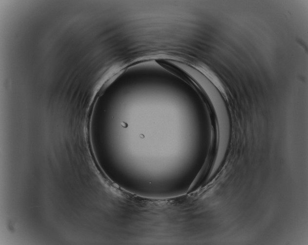 X0000091940813200709191419