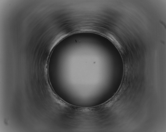 X0000091940814200709191419