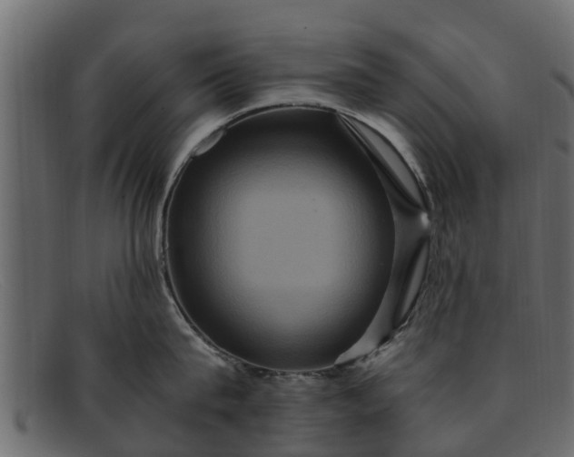 X0000091940815200709191419