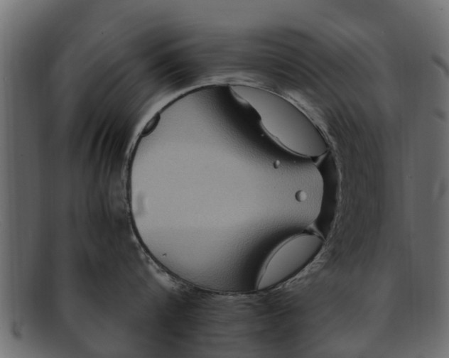 X0000091940816200709191419