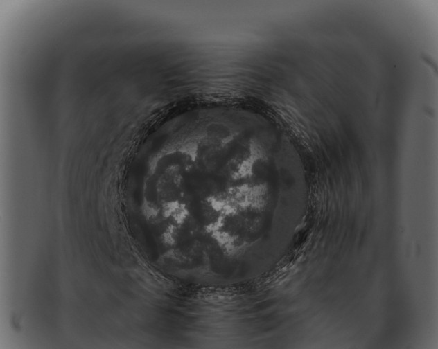 X0000091940817200709191418