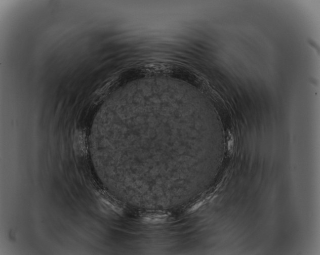 X0000091940819200709191418