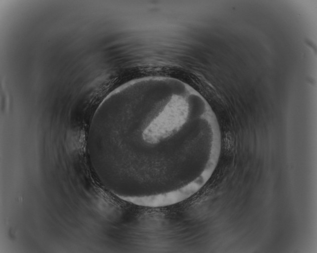 X0000091940820200709191418