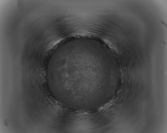 X0000091940822200709191418