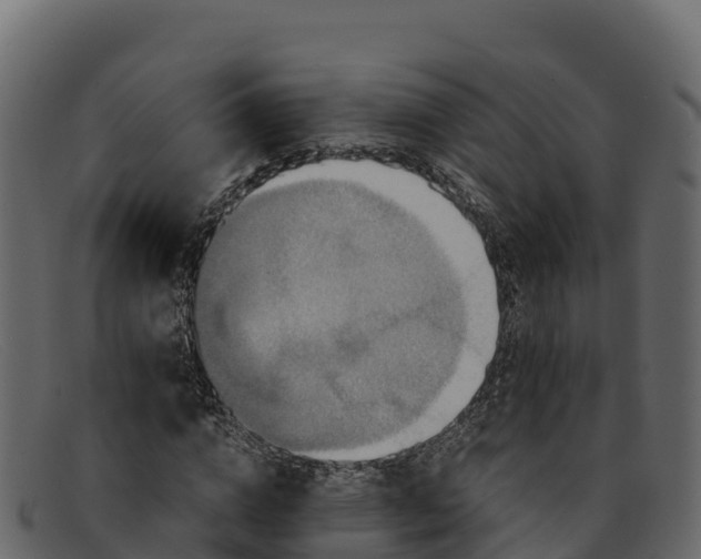 X0000091940824200709191418