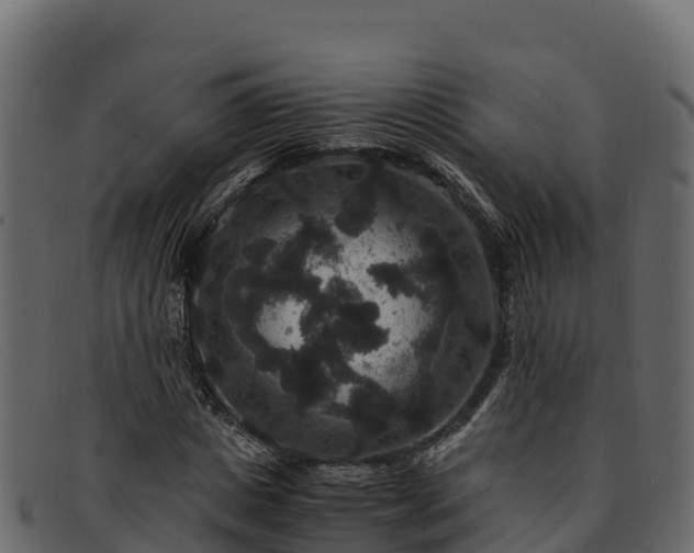 X0000091940825200709191418