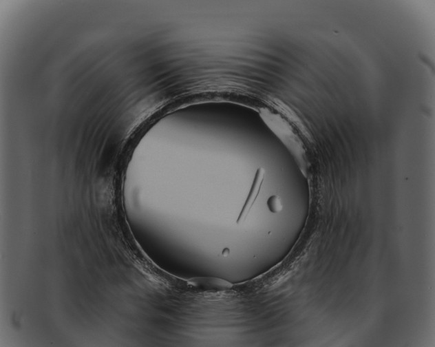 X0000091940826200709191418