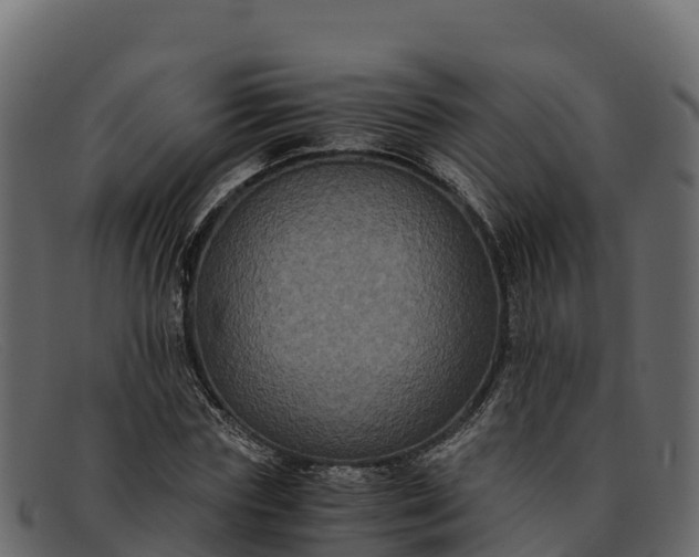 X0000091940827200709191418