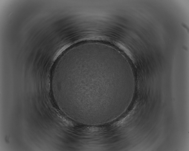 X0000091940829200709191418