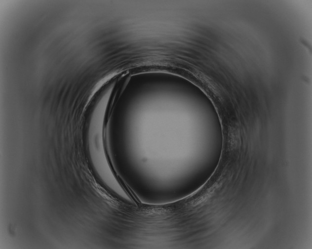 X0000091940830200709191418