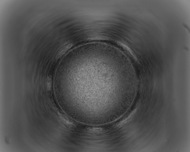 X0000091940833200709191418