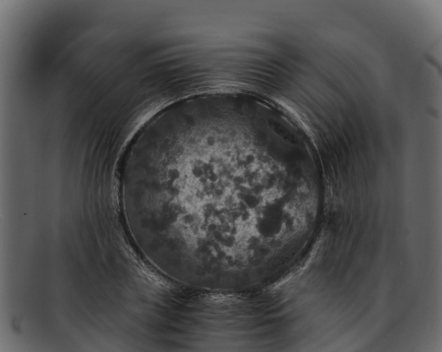 X0000091940835200709191418