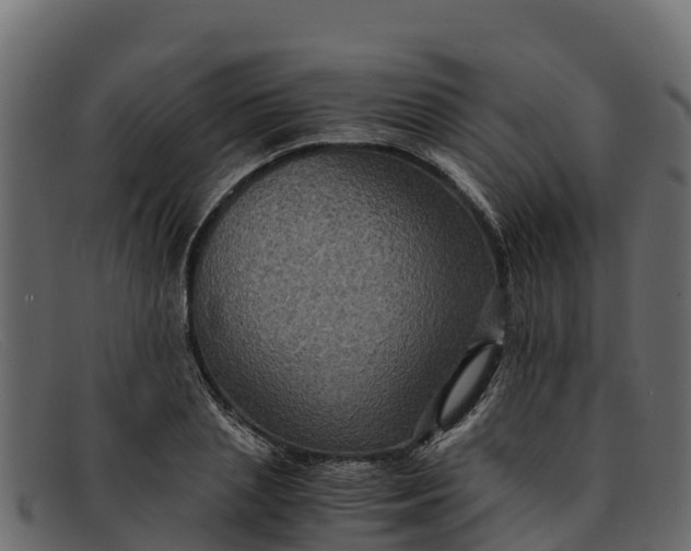 X0000091940837200709191418