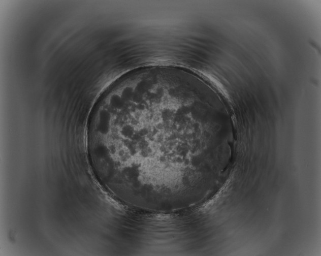 X0000091940839200709191418