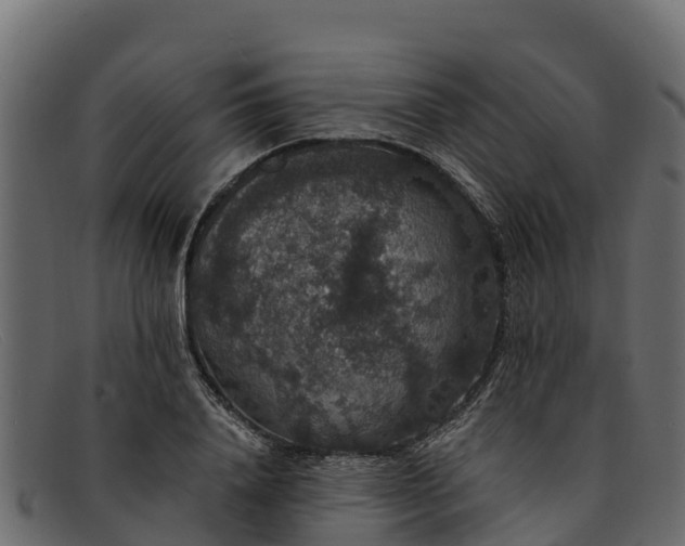 X0000091940840200709191418